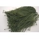 Set 1000 coliere de plastic, culoare verde, 3x150 mm, B.S.P. / SL1804