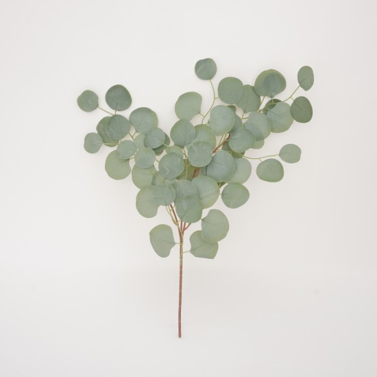 Fir eucalipt, culoare verde, H 60 cm, B.S.P. / SL 661