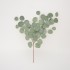 Fir eucalipt, culoare verde, H 60 cm, B.S.P. / SL 661