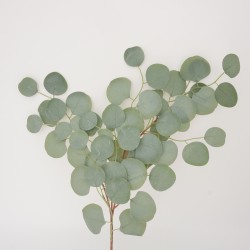 Fir eucalipt, culoare verde, H 60 cm, B.S.P. / SL 661