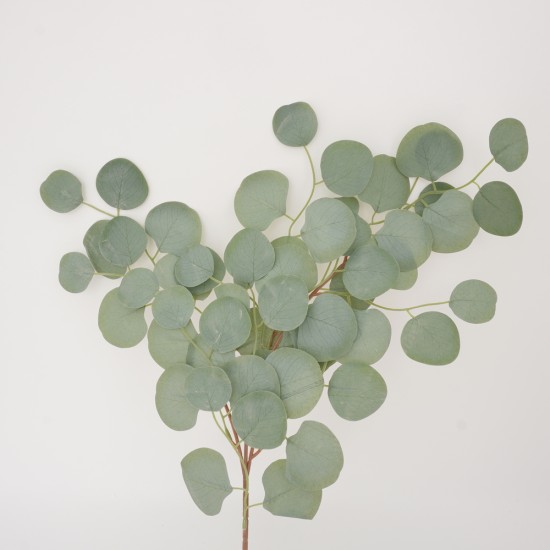 Fir eucalipt, culoare verde, H 60 cm, B.S.P. / SL 661