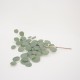 Fir eucalipt, culoare verde, H 60 cm, B.S.P. / SL 661