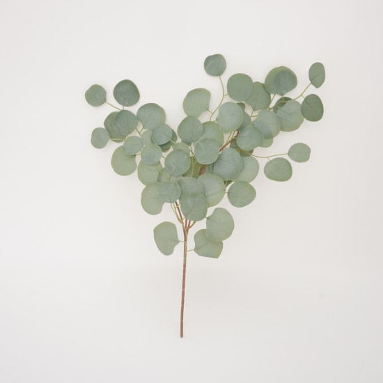 Fir eucalipt, culoare verde, H 60 cm, B.S.P. / SL 661