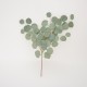 Fir eucalipt, culoare verde, H 60 cm, B.S.P. / SL 661