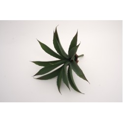 Fir frunze artificiale, culoare verde, H 22 cm, B.S.P. / SL691