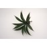 Fir frunze artificiale, culoare verde, H 22 cm, B.S.P. / SL691
