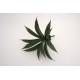 Fir frunze artificiale, culoare verde, H 22 cm, B.S.P. / SL691