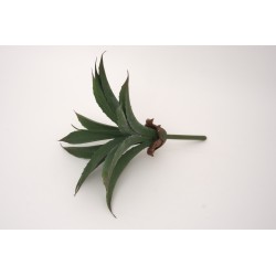 Fir frunze artificiale, culoare verde, H 22 cm, B.S.P. / SL691