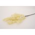 Fir eucalipt siliconat, culoare crem, H 77 cm, B.S.P. / SL743-1