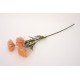 Fir bulgaras, culoare roz, H 66 cm, B.S.P. / SL747-5