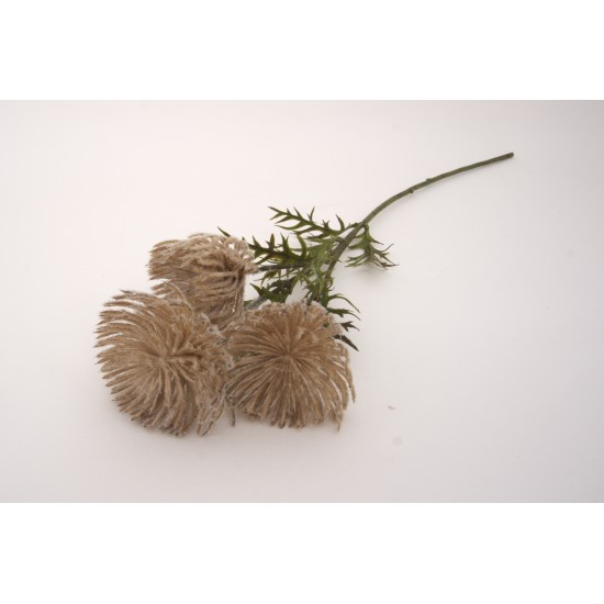 Fir bulgaras, culoare maro, H 66 cm, B.S.P. / SL747-4