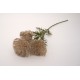 Fir bulgaras, culoare maro, H 66 cm, B.S.P. / SL747-4