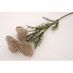 Fir bulgaras, culoare maro, H 66 cm, B.S.P. / SL747-4
