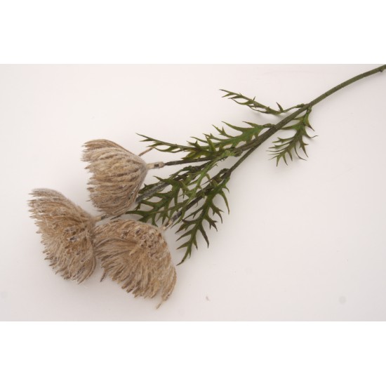 Fir bulgaras, culoare maro, H 66 cm, B.S.P. / SL747-4