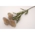 Fir bulgaras, culoare maro, H 66 cm, B.S.P. / SL747-4