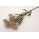 Fir bulgaras, culoare maro, H 66 cm, B.S.P. / SL747-4