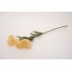 Fir bulgaras, culoare crem, H 66 cm, B.S.P. / SL747-2