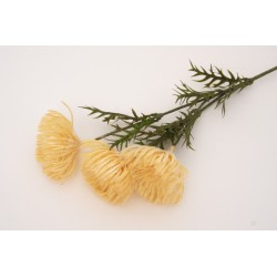 Fir bulgaras, culoare crem, H 66 cm, B.S.P. / SL747-2