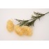 Fir bulgaras, culoare crem, H 66 cm, B.S.P. / SL747-2