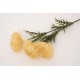 Fir bulgaras, culoare crem, H 66 cm, B.S.P. / SL747-2