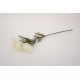 Fir bulgaras, culoare alb, H 66 cm, B.S.P. / SL747-1