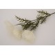 Fir bulgaras, culoare alb, H 66 cm, B.S.P. / SL747-1