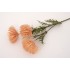 Fir bulgaras, culoare roz, H 66 cm, B.S.P. / SL747-5