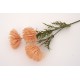 Fir bulgaras, culoare roz, H 66 cm, B.S.P. / SL747-5