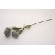 Fir bulgaras, culoare gri, H 66 cm, B.S.P. / SL747-3