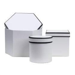 Set 3 cutii cu forme diferite, alb / CD 3322_Alb