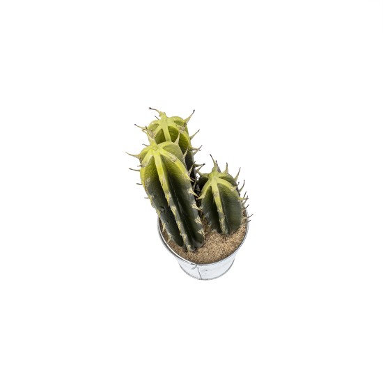 Aranjament artificial, cactus in ghiveci de talbla, 40x12 cm, B.S.P. / SL694-1