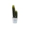 Aranjament artificial, cactus in ghiveci de talbla, 40x12 cm, B.S.P. / SL694-1