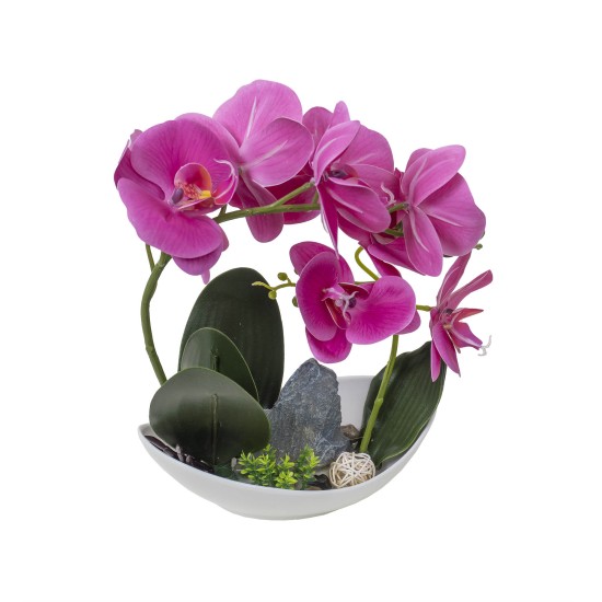 Orhidee 2 fire cu aspect natural in ghiveci ceramic alb H 30cm/ CD4561_Fucsia