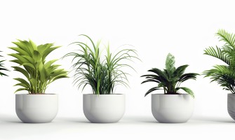 Flori artificiale în ghiveci rotund: sfaturi utile