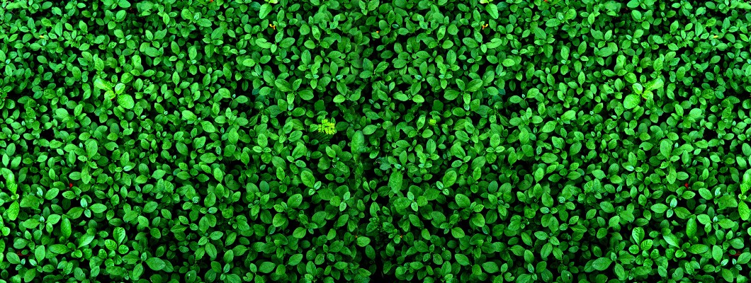 Covoare din frunze artificiale: sfaturi de amenajare interioară