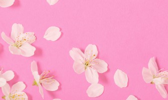 Flori de cires din sapun: frumusețea delicată a primăverii