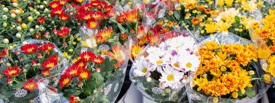 Folie plastic pentru ambalare flori: cum să alegi și să folosești corect